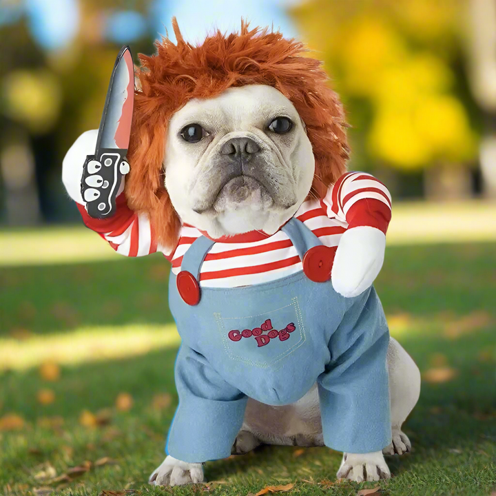 Chucky | Deadly doll Halloween dog costume